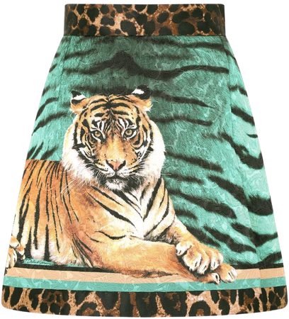 Dolce & Gabbana animal-print A-line Skirt