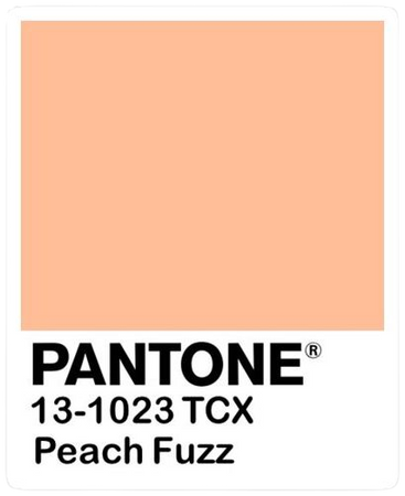 pantone peach fuzz - Search Images