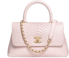 Chanel - Mini coco Pink Python