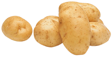 Yellow Gold Potatoes - Randalls
