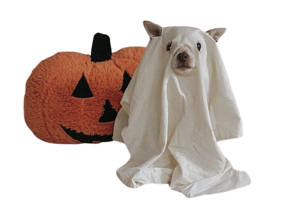 @darkcalista spooky dog png