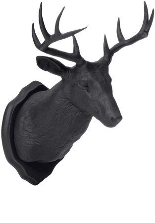 Urban Taxidermy: Black Deer – FCTRY