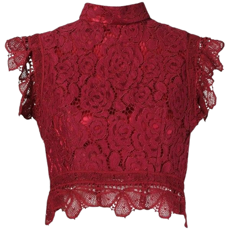 Dark Red Lace Cropped Blouse