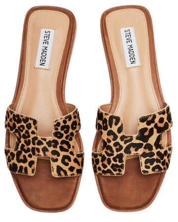 HADYN Leopard Sandal | Women's Designer Sandals – Steve Madden