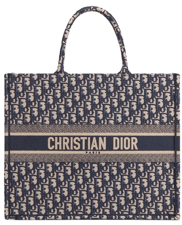 Dior Book Tote Dior Oblique bag - Bags - Women's Fashion | DIOR