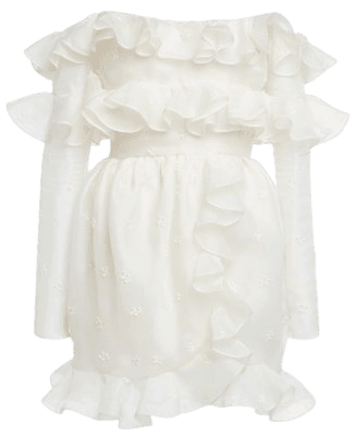 Embroidered Organza Mini Dress By Giambattista Valli | Moda Operandi