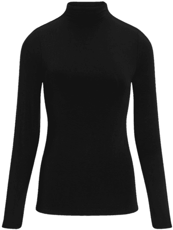 Fitted Long Sleeve Mock Neck Tee | Express
