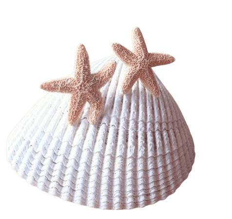Aquamarine's Starfish Earrings Real Starfish Studs | Etsy