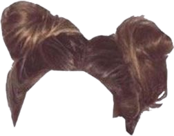 Brown Hair Buns PNG