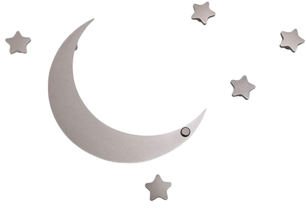 SDH Decorative Coat Hooks Wall Mounted, Wall Decoration, Moon and Stars Theme, Modern, Heavy Duty, Garment Friendly, Pack of 5 Star Hooks and 1 Moon Hook,Silver Color: Amazon.ca: Home & Kitchen