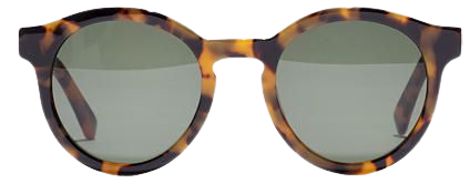 Tortoise Everett Sunglasses