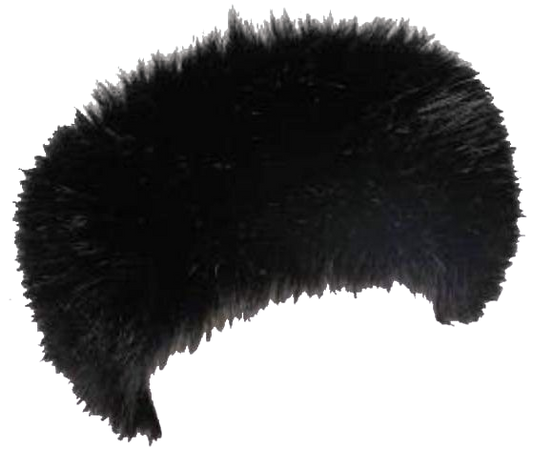 black hat fur