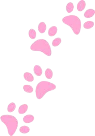 pink paws clipart - Google Search