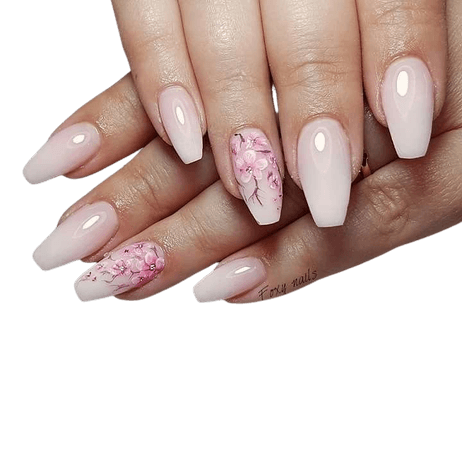 Cherry blossom nails art