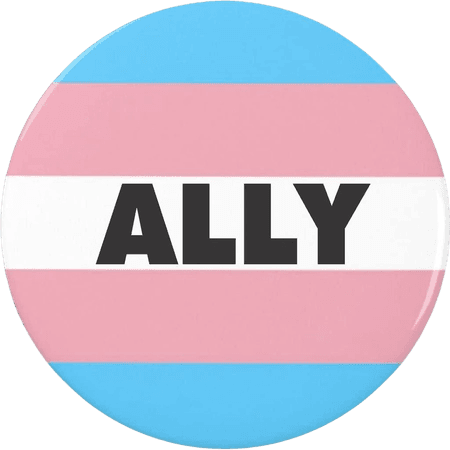 trans ally flag pin