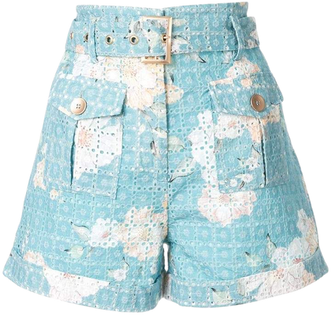 Lulu printed broderie anglaise shorts