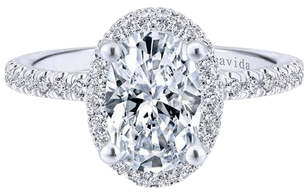 Gabriel Amavida Oval Double Halo Diamond Engagement Ring