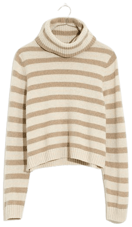 (Re)sourced Cashmere Crop Turtleneck Sweater in Stripe