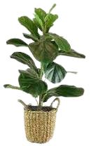 decorative faux plants - Google Search