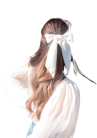 aesthetic hair ribbon