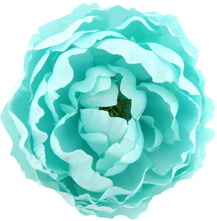 aquamarine flower