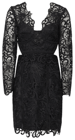 Erica Black Lace Bodycon Dress – REISS