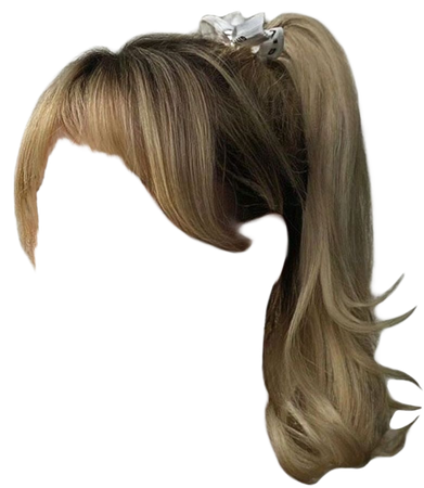 blond long hair bangs ponytail