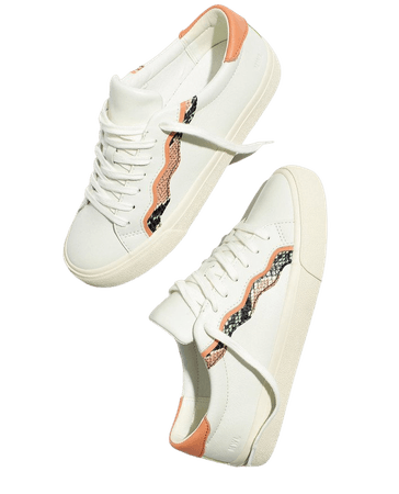 Sidewalk Low-Top Sneakers in Snake Embossed Leather: Wave Edition
