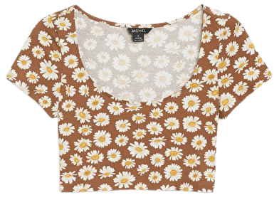 Brown daisy print short sleeved crop top - Brown with daisies - Monki WW