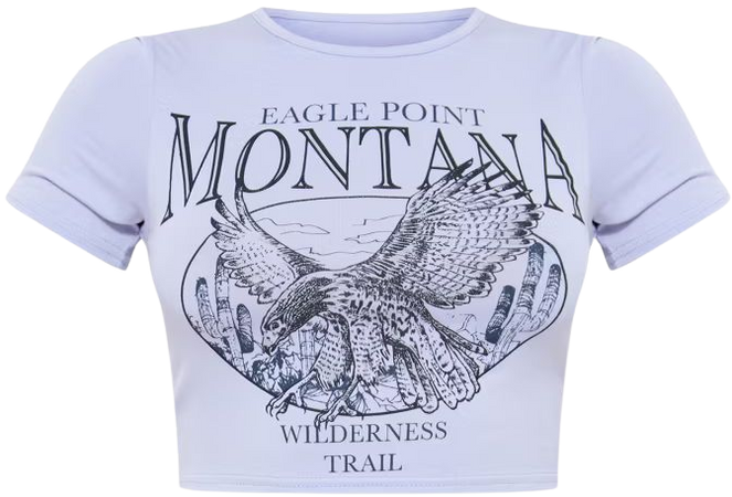 Grey Montana Logo Cropped T Shirt | Tops | PrettyLittleThing USA