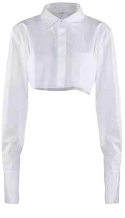 cropped button up shirt