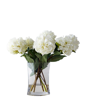 Flower Hydrangea Floral Design White