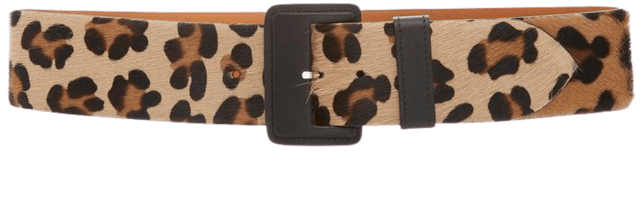 Leopard-Print Calf Hair Belt by Maison Vaincourt | Moda Operandi