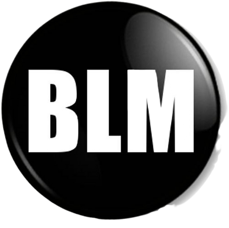 blm-pin-button-badge-stop-racism-resist-fight-for-justice-challenge-inequality-black-li-10151-p.jpg (500×498)