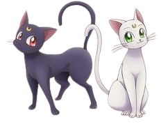 (309) Pinterest sailormoon cats