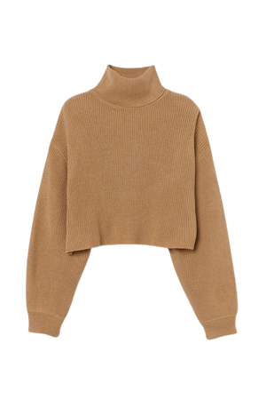 Cropped Turtleneck Sweater - Beige