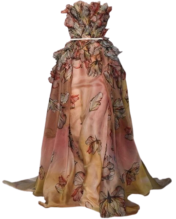 butterfly gown