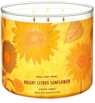 Bright Citrus Sunflower 3-Wick Candle | Bath & Body Works