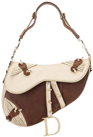 Christian Dior Trotter Saddle Bag Ss20 | Farfetch.Com