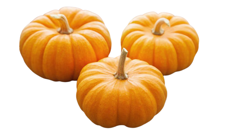 photos of small pumpkins - Google Search