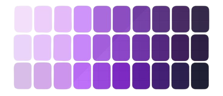 purple palette