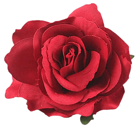 Amazon.com: Lovefairy Beautiful Rose Flower Hair Clip Pin up Flower Brooch for Party Travel Festivals (Dark Red): Clothing