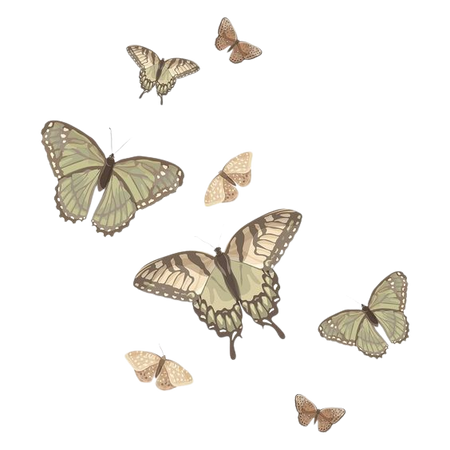 butterfly aesthetic png stickers