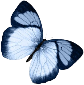 blue butterfly png filler