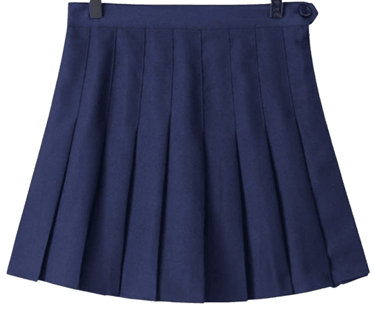 navy blue skirt