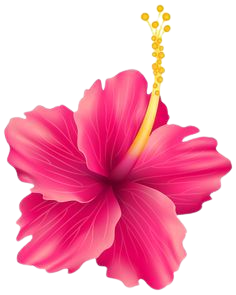 hawaii flower