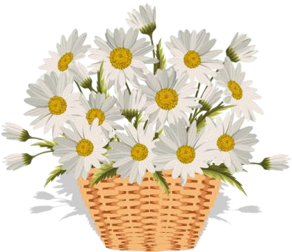 7,100+ Basket Of Daisies Stock Photos, Pictures & Royalty-Free Images - iStock