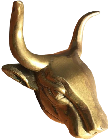 Brass Longhorn Bull Wall Hook | Chairish