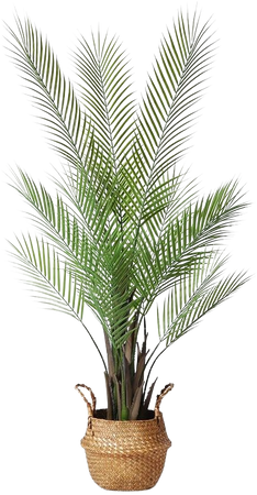 Amazon.com: Kazeila Artificial Palm Tree, 47'' Fake Potted Paradise Palm Plant with Handmade Seagrass Basket, Plastic Greenery Faux Tree Home Décor for Indoor Porch Balcony Bedroom Bathroom, Coffee : Home & Kitchen