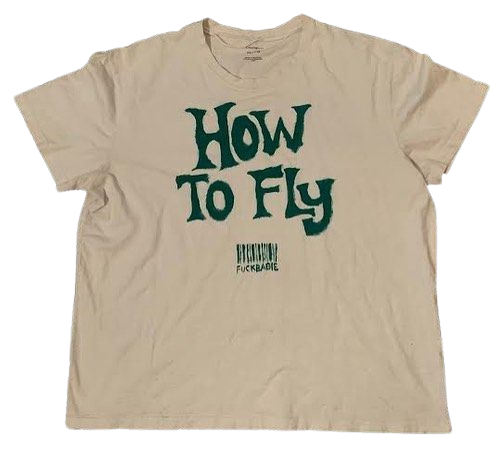 𝓥𝔦$s🄴-Я🅴Ꭵ𝕟Ꮛ sur Instagram : How to fly t-shirt, screeprinted Size: XL Price: 45$ . . . #archives #archive #montreal #clothes #handmade #designer #outfit…